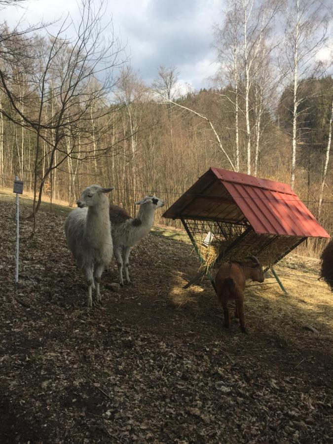 Apartmán Hopi Hopi Svoboda nad Úpou Esterno foto