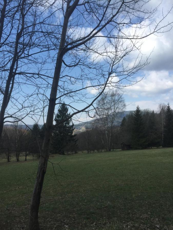 Apartmán Hopi Hopi Svoboda nad Úpou Esterno foto